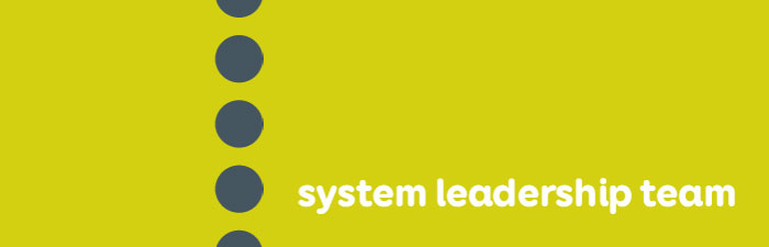 system leadership
